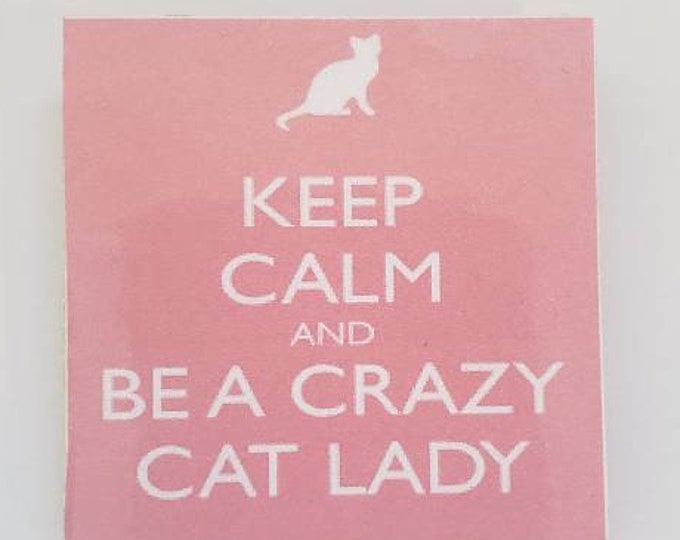 Sarcastic funny fridge magnet