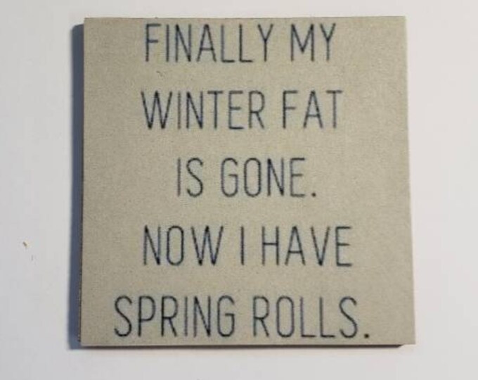 Sarcastic fridge magnet