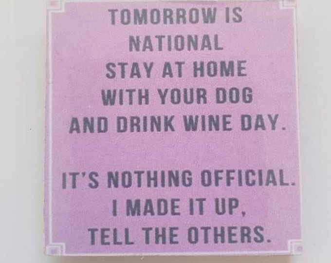 Sarcastic funny fridge magnet