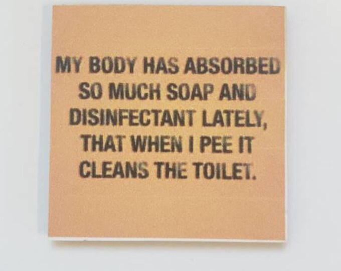 sarcastic fridge magnet