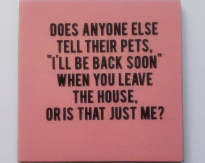 Funny sarcastic fridge magnet