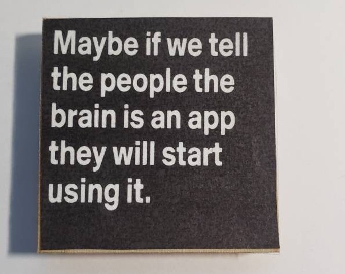 sarcastic funny witty magnet