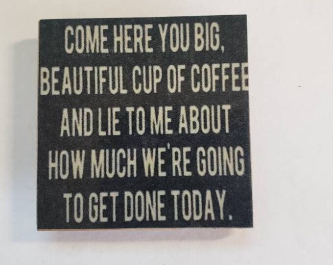 sarcastic funny fridge magnet