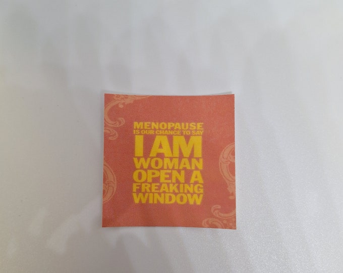 sarcastic funny witty magnet