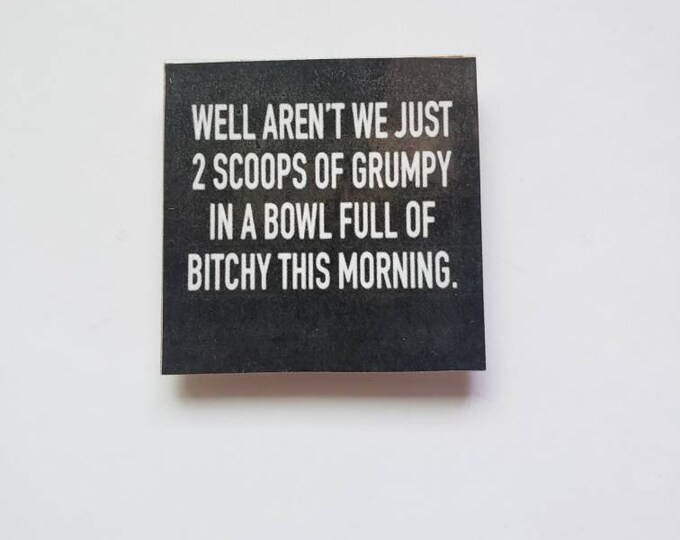 sarcastic funny witty magnet