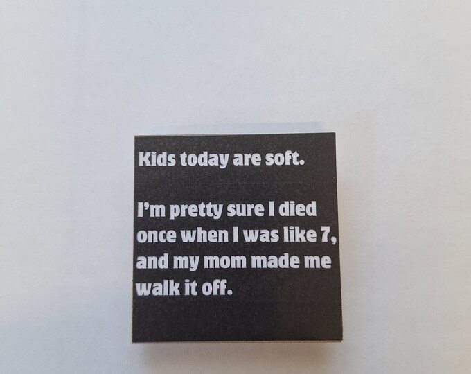 sarcastic funny witty fridge magnet