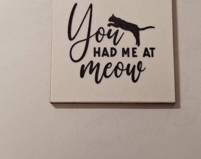 Cat fridge magnet