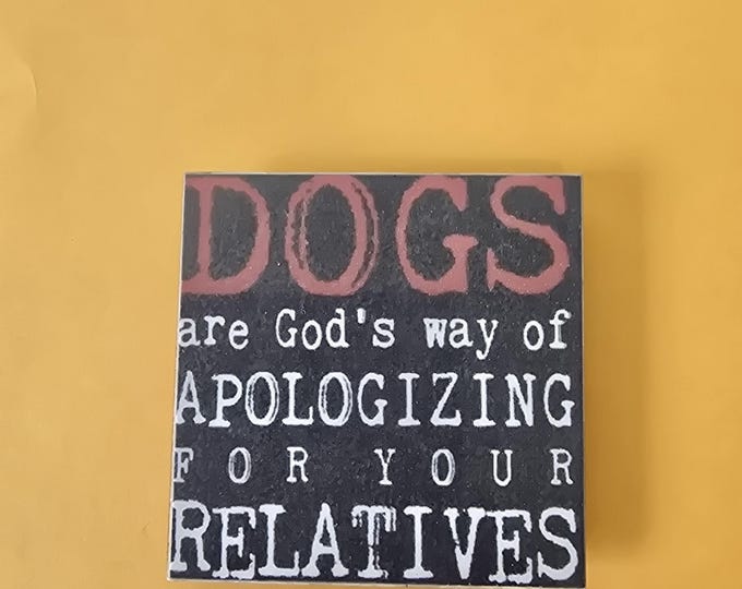 sarcastic funny witty magnet