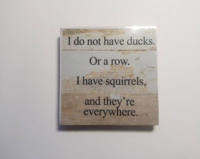 Sarcastic kitchen magnet