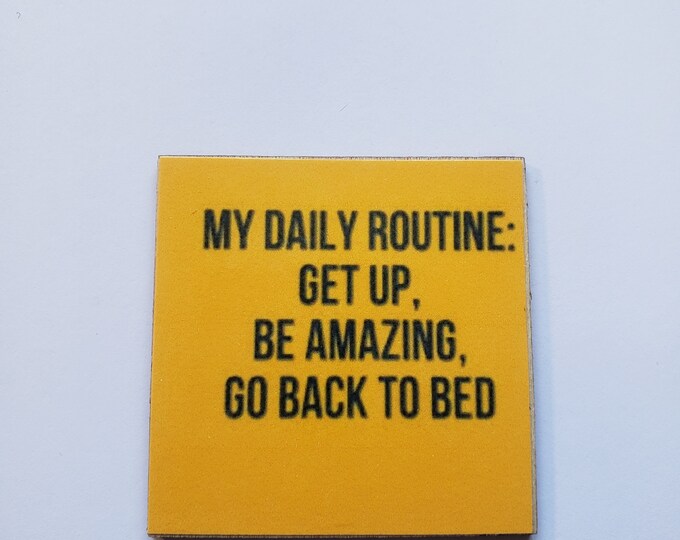 Sarcastic kitchen magnet