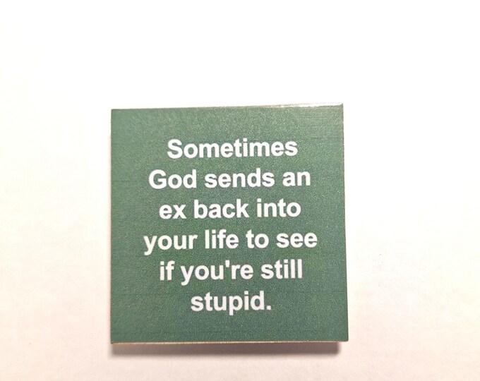 sarcastic funny witty fridge magnet
