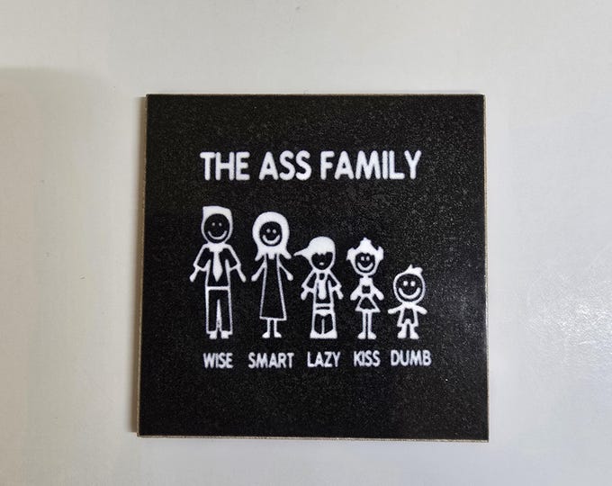 Sarcastic funny witty fridge magnet