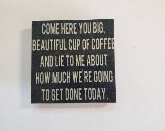 sarcastic funny fridge magnet