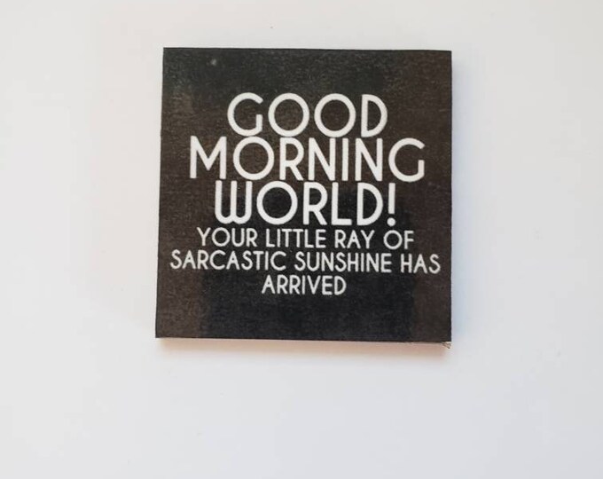 sarcastic funny witty magnet