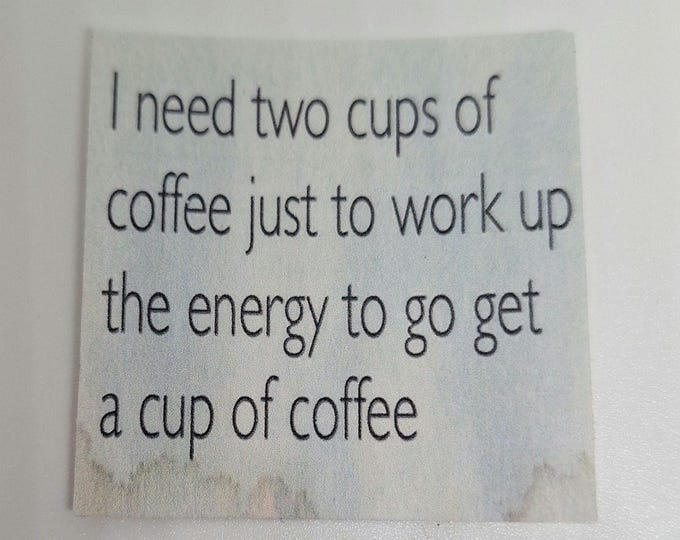 sarcastic funny witty fridge magnet