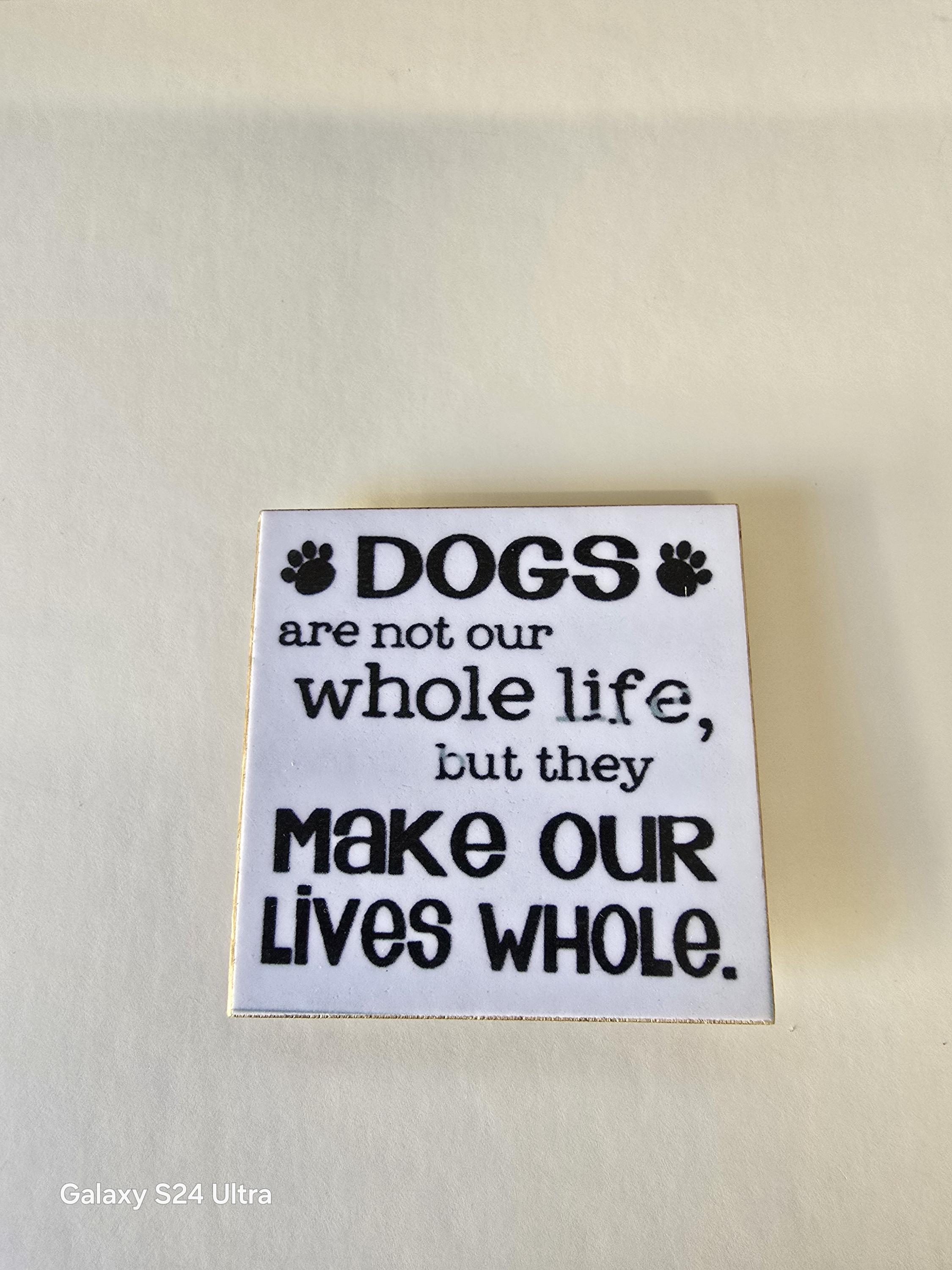 Sarcastic dog fridge magnet