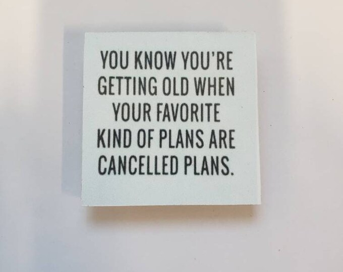 Sarcastic funny fridge magnet