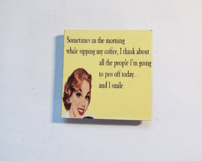 sarcastic funny witty magnet