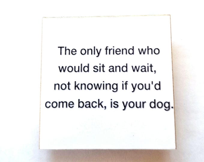 sarcastic funny witty magnet