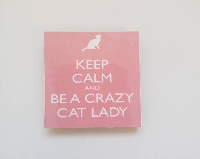 Sarcastic funny fridge magnet