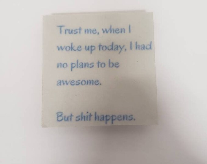 Sarcastic funny magnet