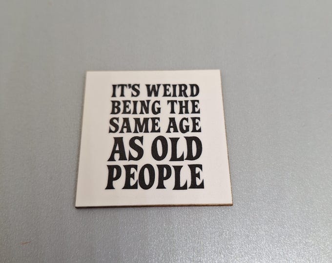 sarcastic funny witty fridge magnet