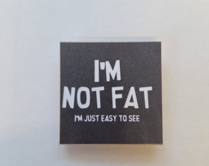sarcastic funny witty magnet