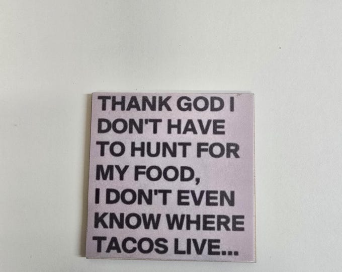 Sarcastic funny witty fridge magnet
