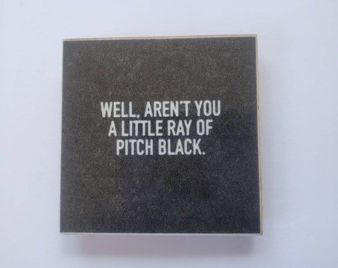 Sarcastic funny witty fridge magnet