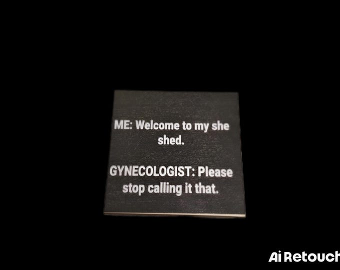 Sarcastic funny magnet