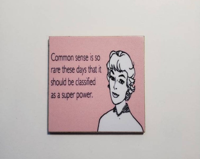 Funny sarcastic fridge magnet
