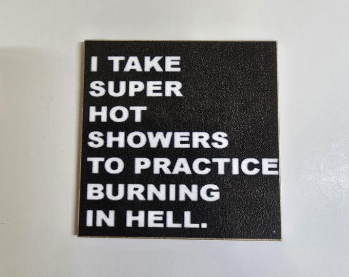 Sarcastic funny fridge magnet