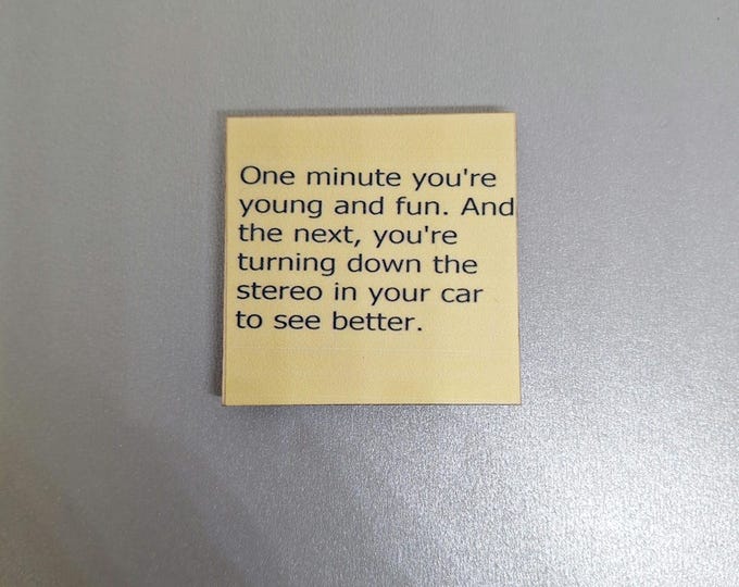 Sarcastic funny magnet