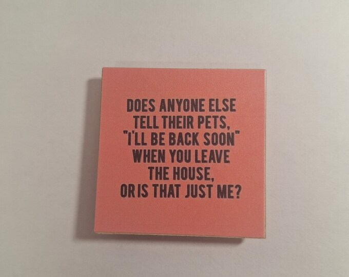 sarcastic funny witty magnet