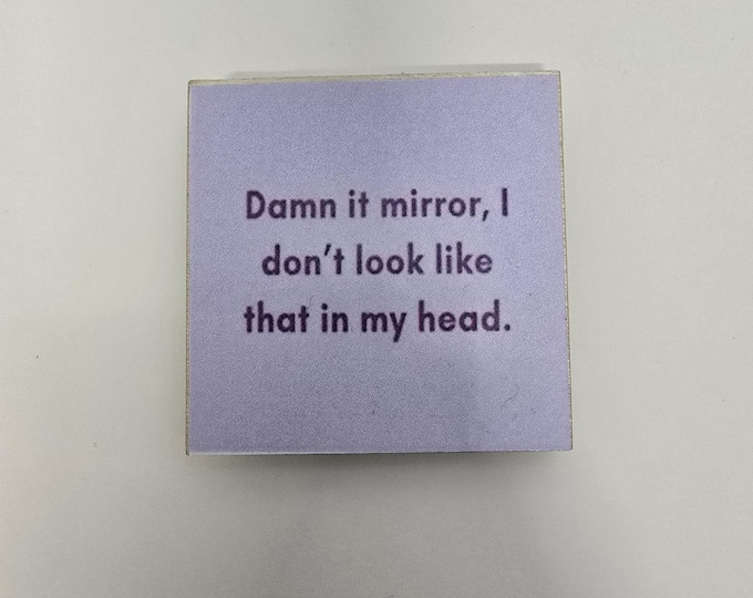 sarcastic funny witty fridge magnet