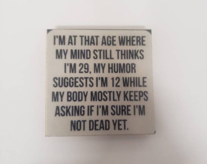 Sarcastic funny magnet