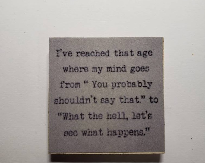 sarcastic funny witty magnet