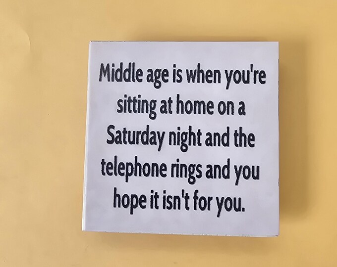 sarcastic witty funny middle age magnet