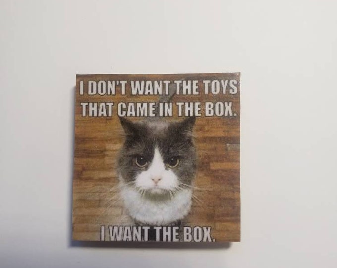 Sarcastic kitchen magnet