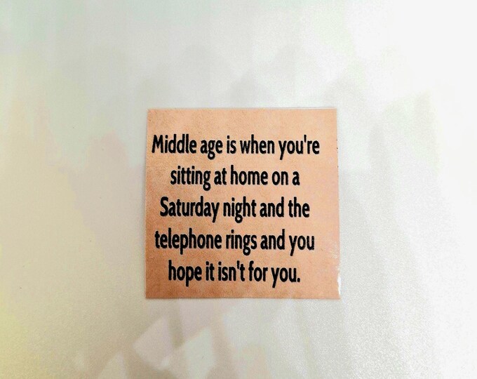 sarcastic witty funny middle age magnet