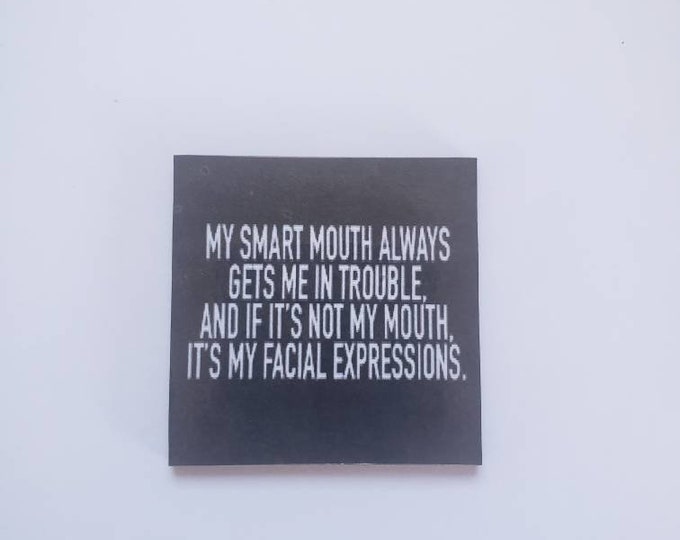 sarcastic funny witty magnet