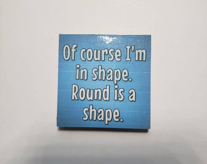 sarcastic funny witty magnet