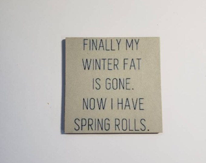 Sarcastic fridge magnet