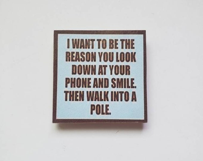 sarcastic funny magnet