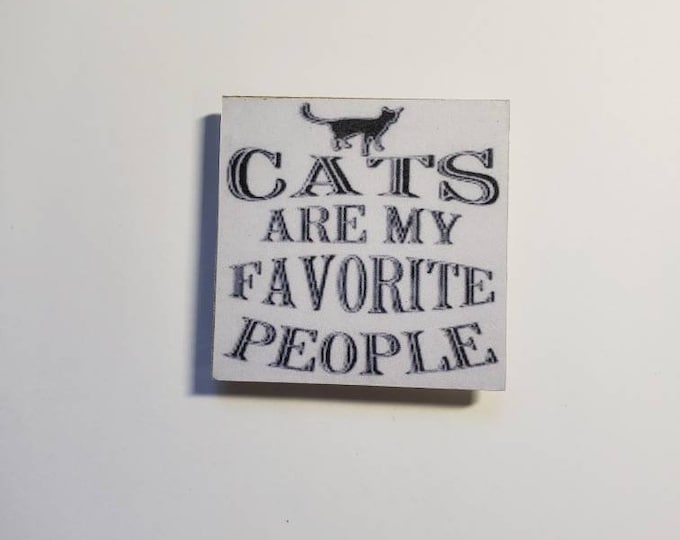 sarcastic funny witty fridge magnet
