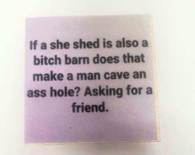 Sarcastic funny magnet