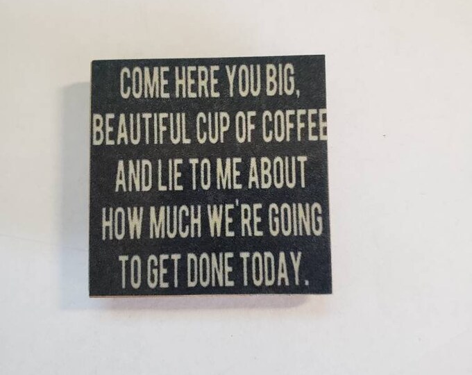 Sarcastic witty fridge magnet
