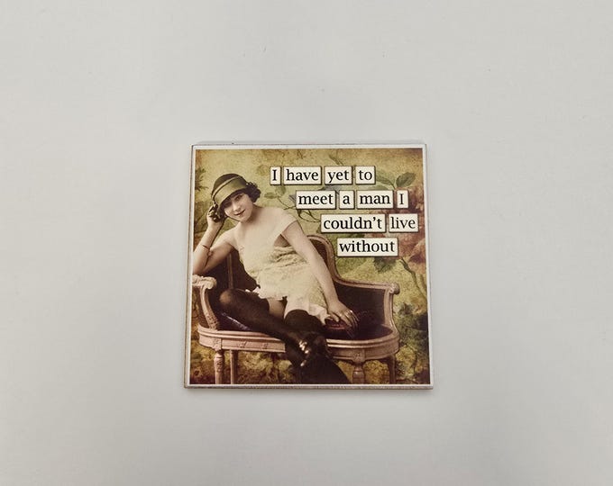 sarcastic funny witty fridge magnet