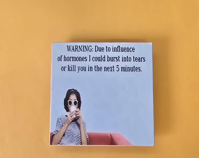 sarcastic funny witty menopause magnet
