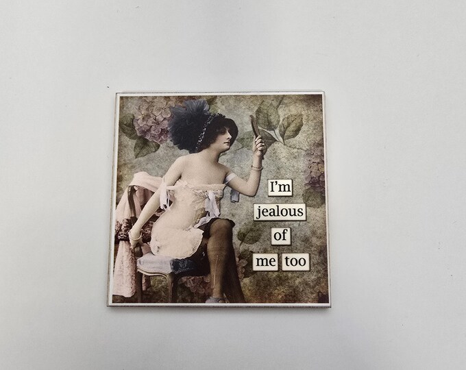 Sarcastic funny witty retro 2inx2in fridge magnet